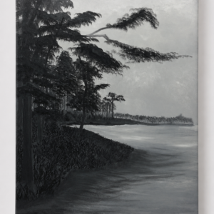Safe Haven #1 - Image 4